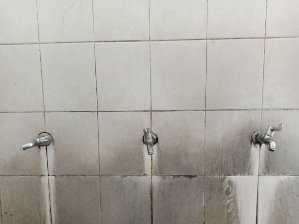 Best Water damage contractors near me  in Cherryville, NC